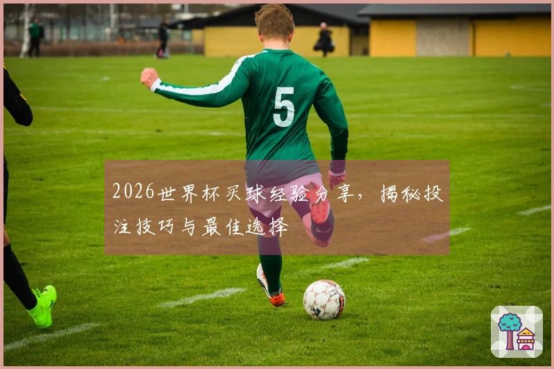 2026世界杯买球经验分享，揭秘投注技巧与最佳选择