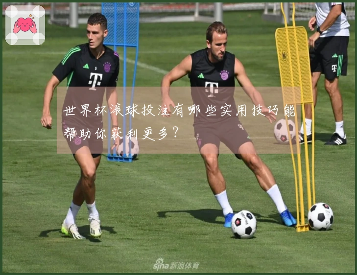 世界杯滚球投注有哪些实用技巧能帮助你获利更多？