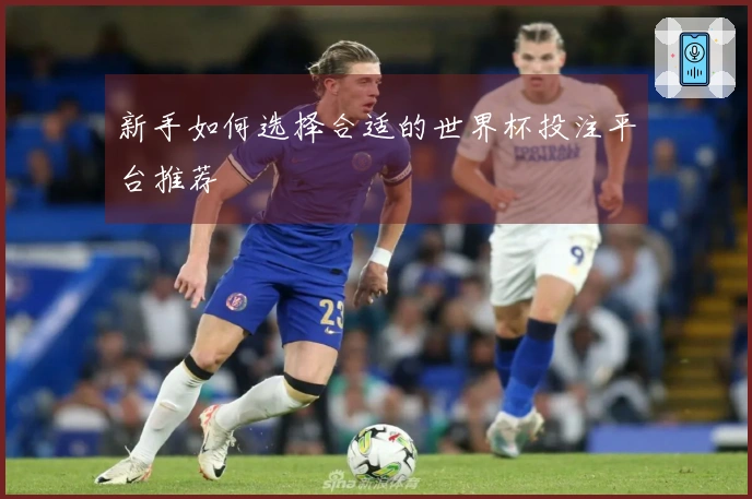 新手如何选择合适的世界杯投注平台推荐