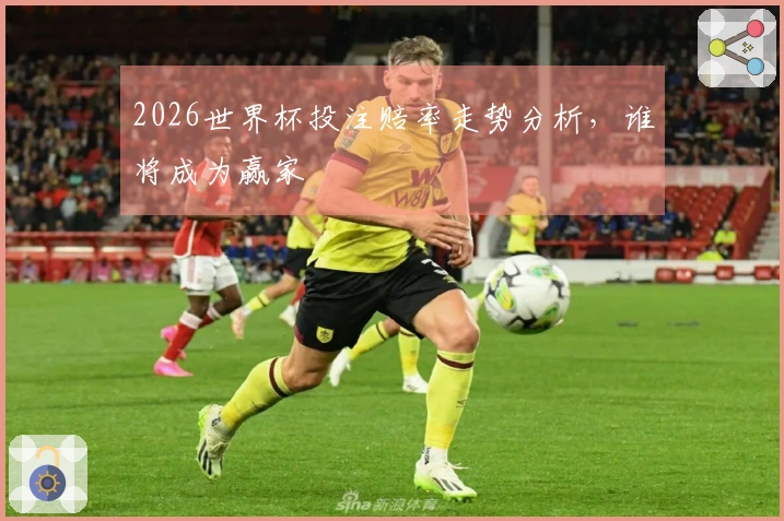 2026世界杯投注赔率走势分析，谁将成为赢家